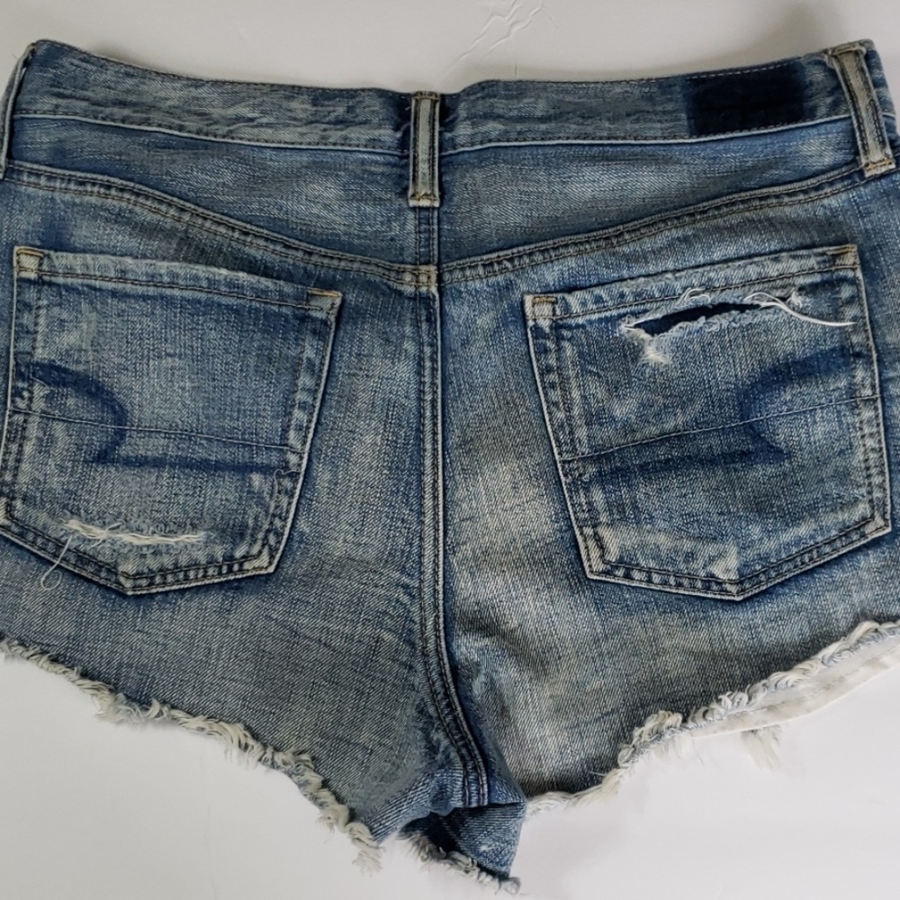 Vintage High Rise Festival Shorts AE